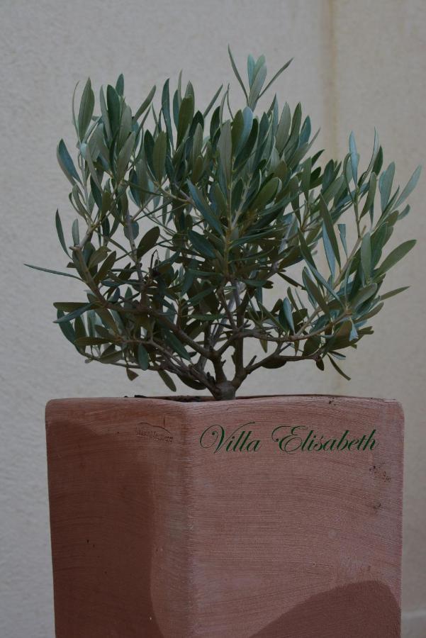 Villa Elisabeth Aix-en-Provence Kültér fotó